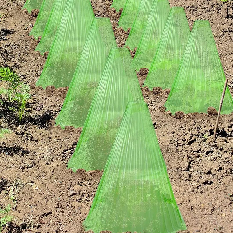 30 Reusable Square Planting Tents. Protect plants from birds, frost &amp; snails.