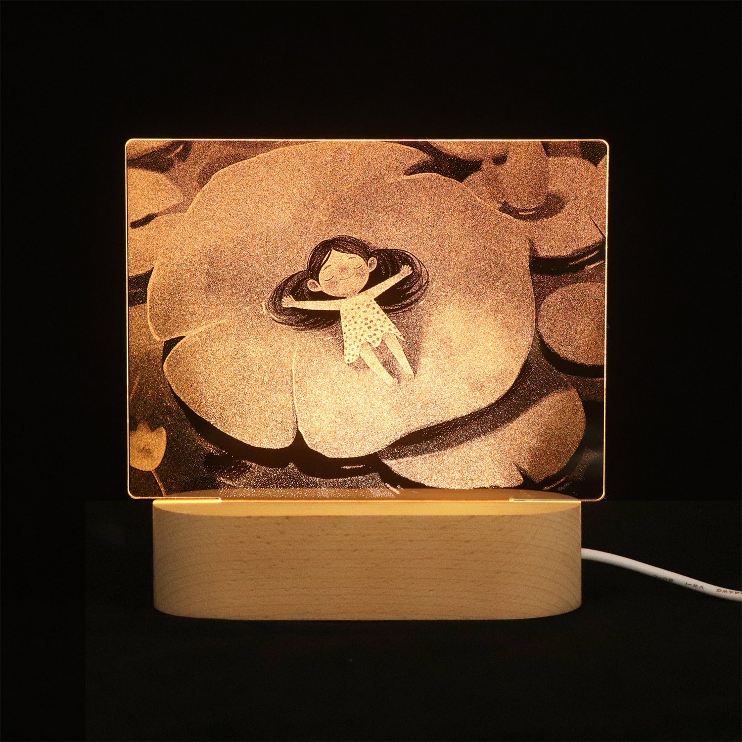 3D Image Internal Carving Laser Acrylic Bedhead Nightlight Plug in