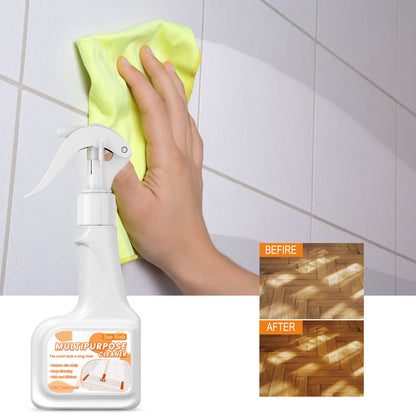Multi-Surface Floor Cleaner