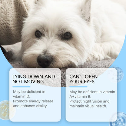 Multivitamin Tablets For Dogs, Cats, Dogs And Pets Absorb Nutritional Health Supplements