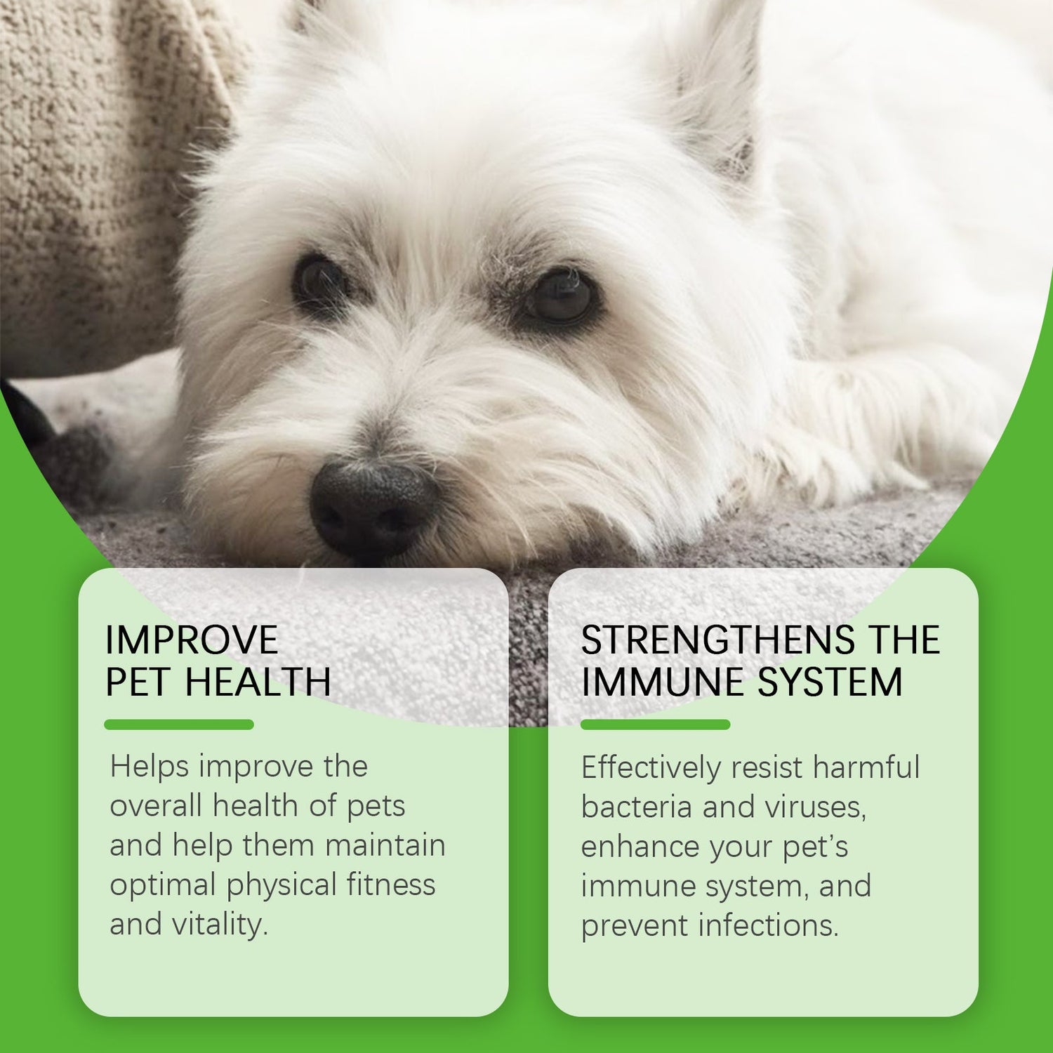 Pet Dog Dietary Supplement