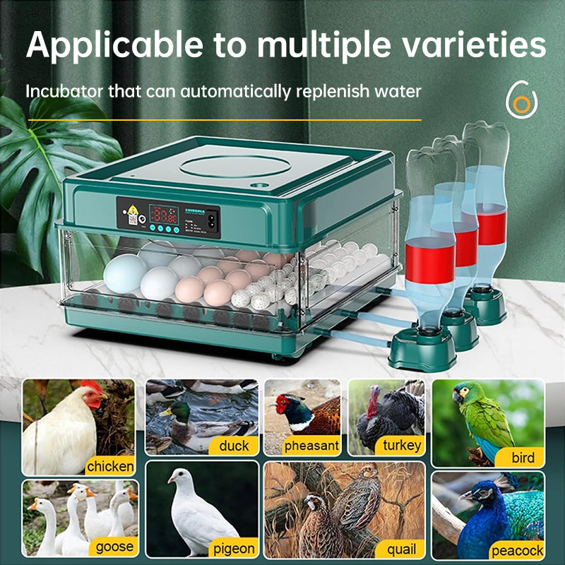 9 - 48 Egg Incubator: Automatic Egg - Turning &amp; Humidity Monitoring. Duck Incubator with Auto - Water Ionic Waterbed
