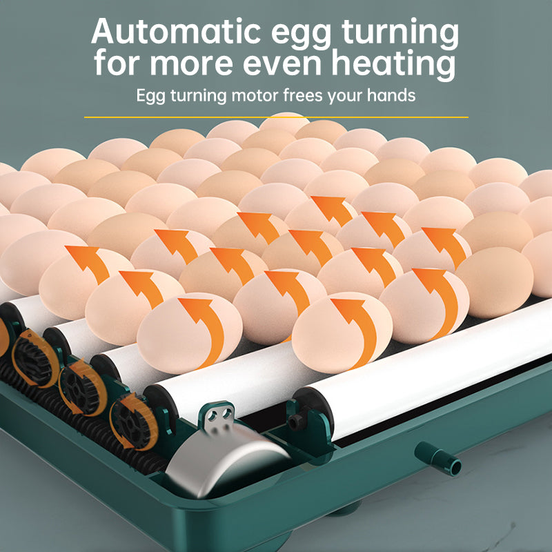 9 - 48 Egg Incubator: Automatic Egg - Turning &amp; Humidity Monitoring. Duck Incubator with Auto - Water Ionic Waterbed