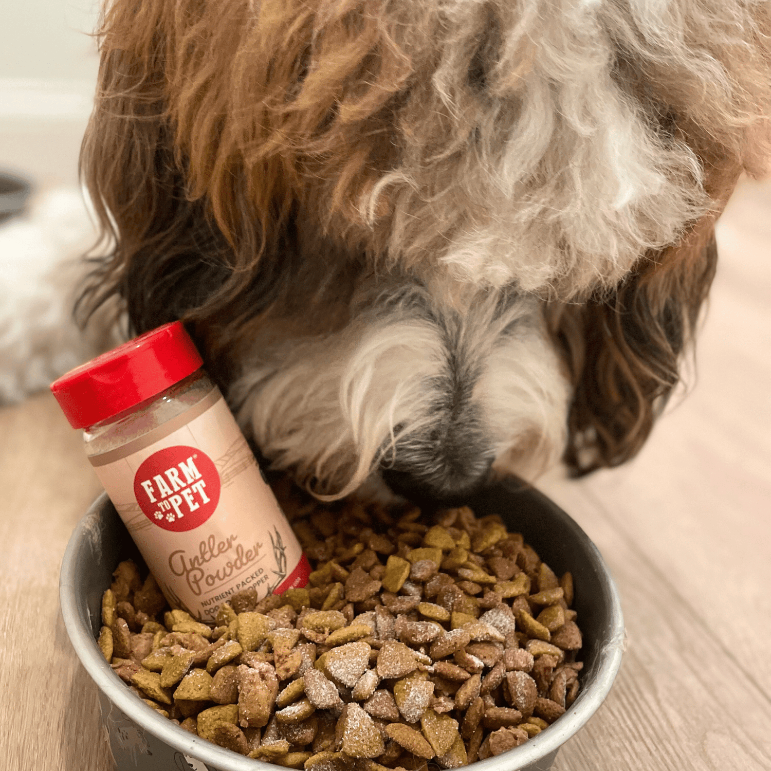 Antler Powder Dog &amp; Cat Supplement