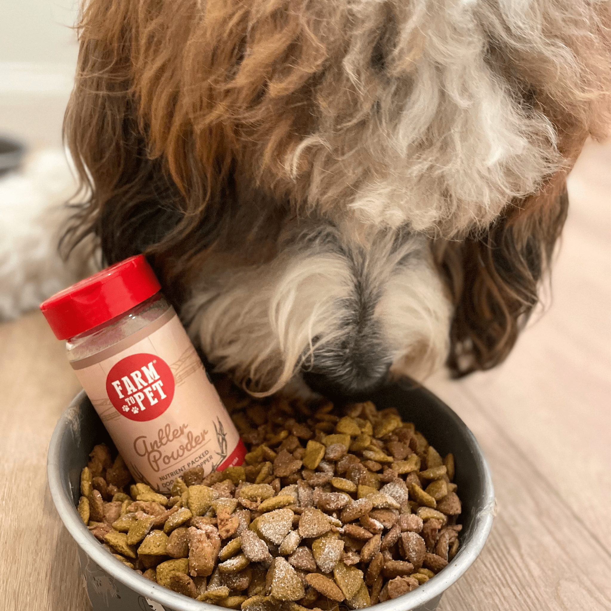Antler Powder Dog &amp; Cat Supplement