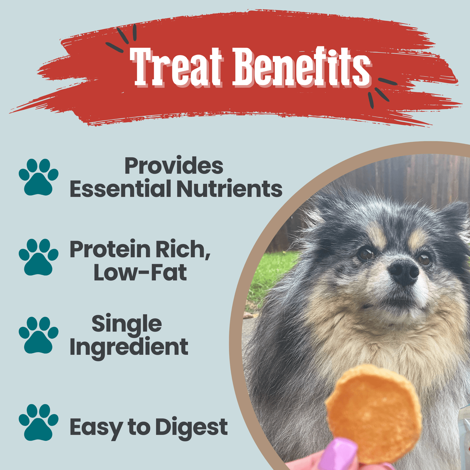 Fish Chips Snack Pack Bundles | Dog Treats for Training &amp; Travel