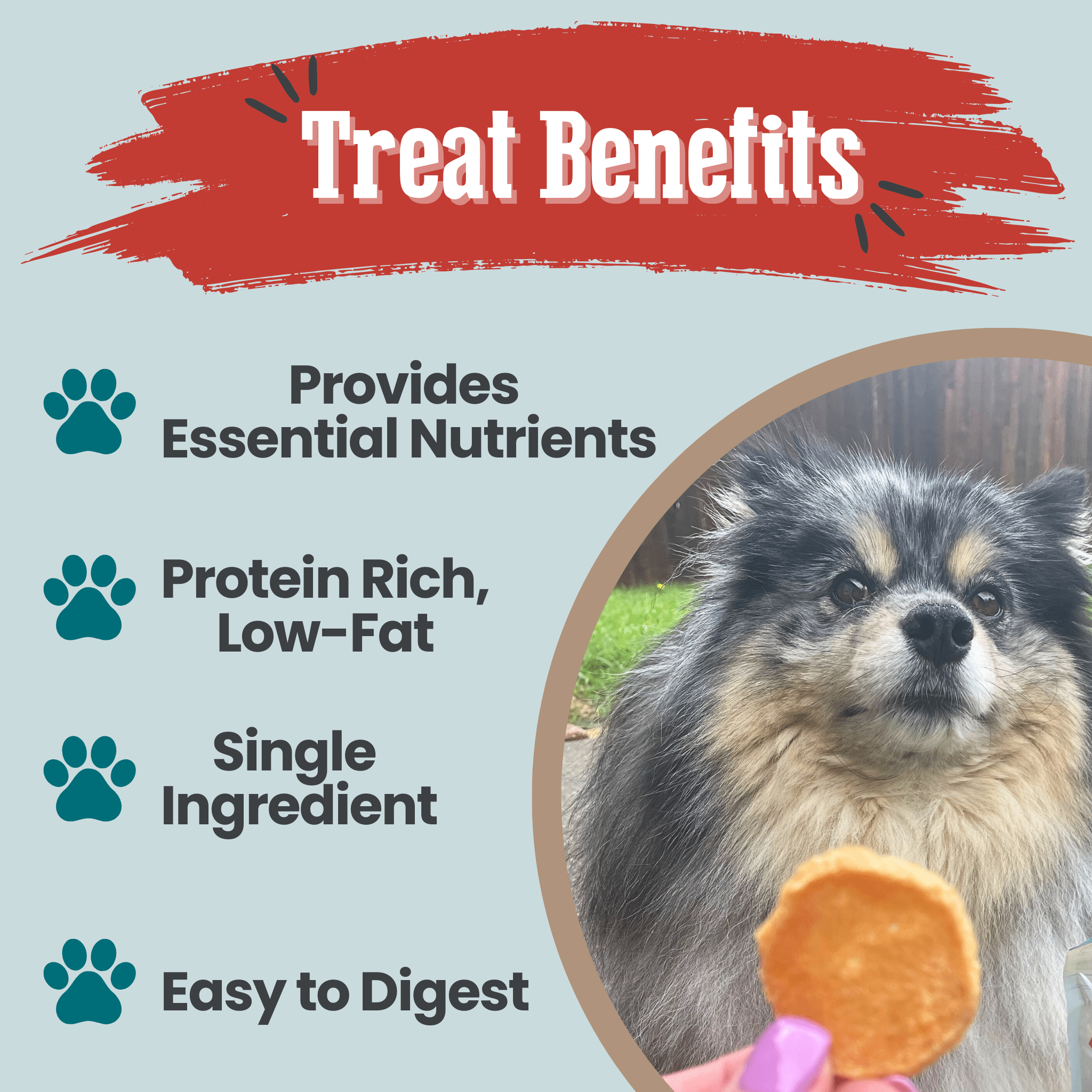 Fish Chips Snack Pack Bundles | Dog Treats for Training &amp; Travel