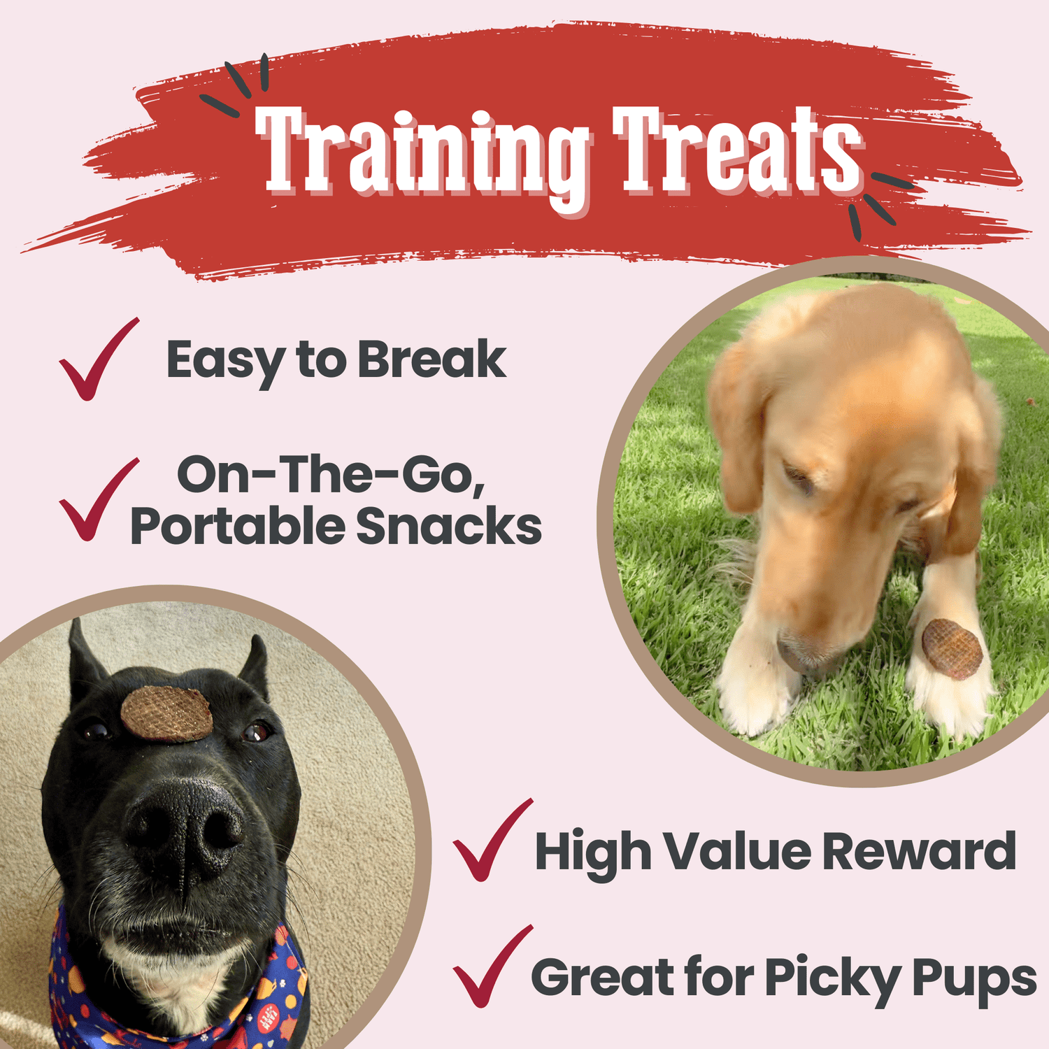 Beef Chips Dog Treats