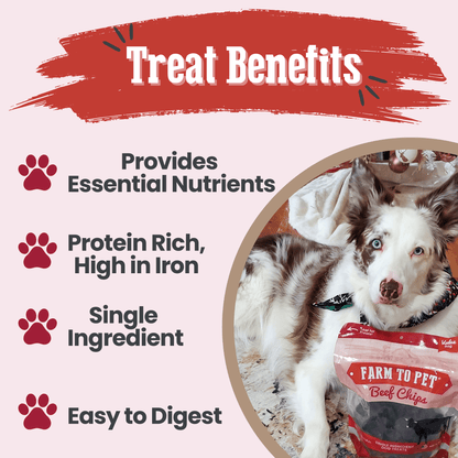 Beef Chips Dog Treats