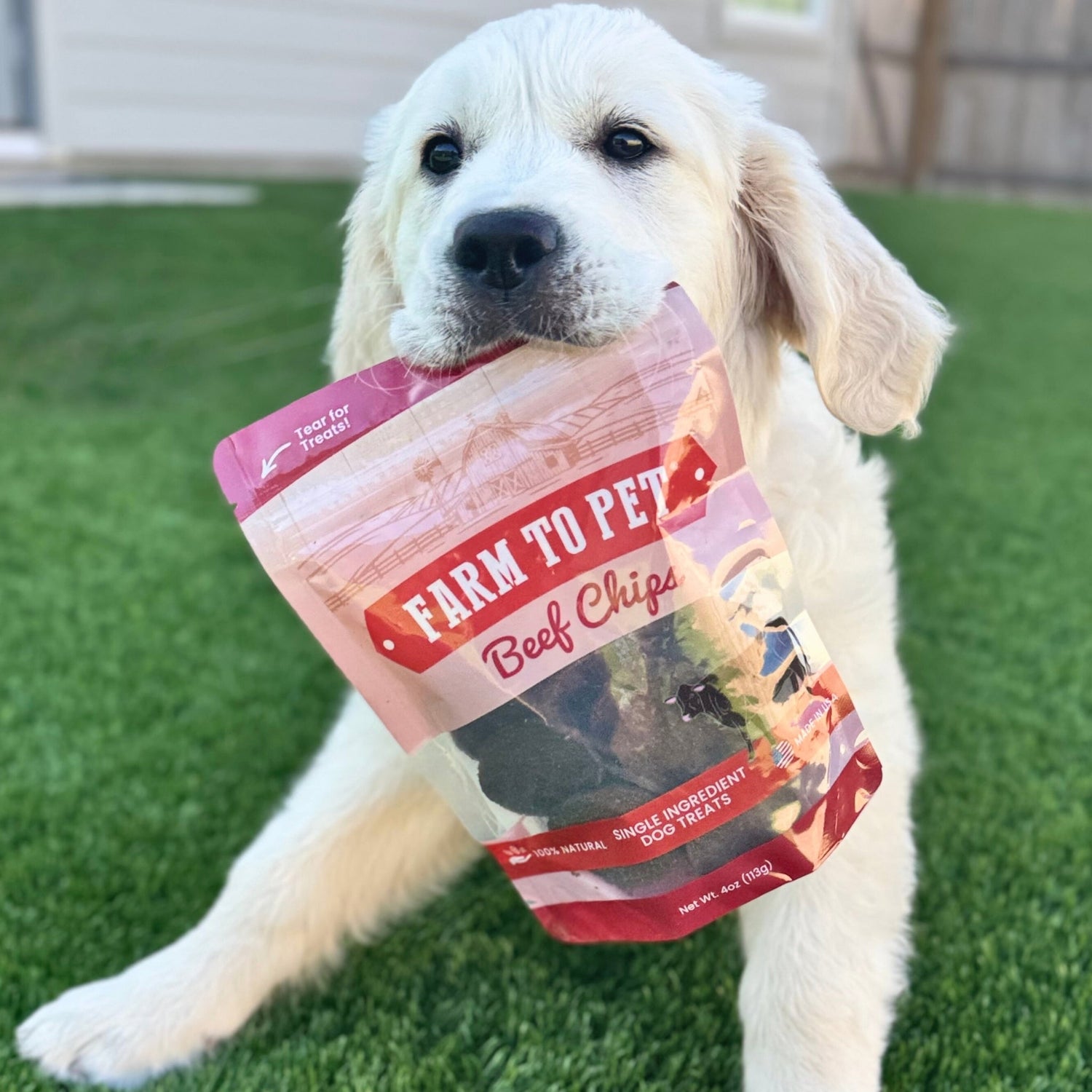 Beef Chips Dog Treats