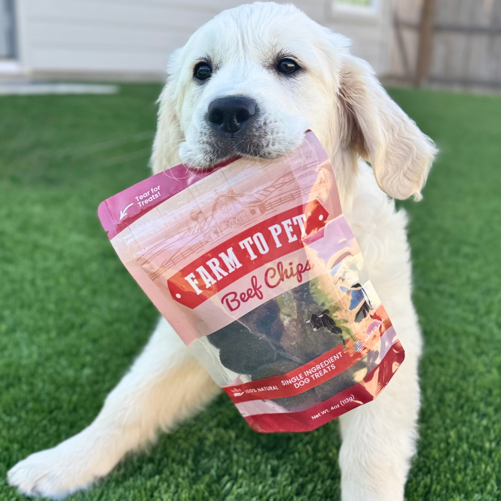 Beef Chips Dog Treats