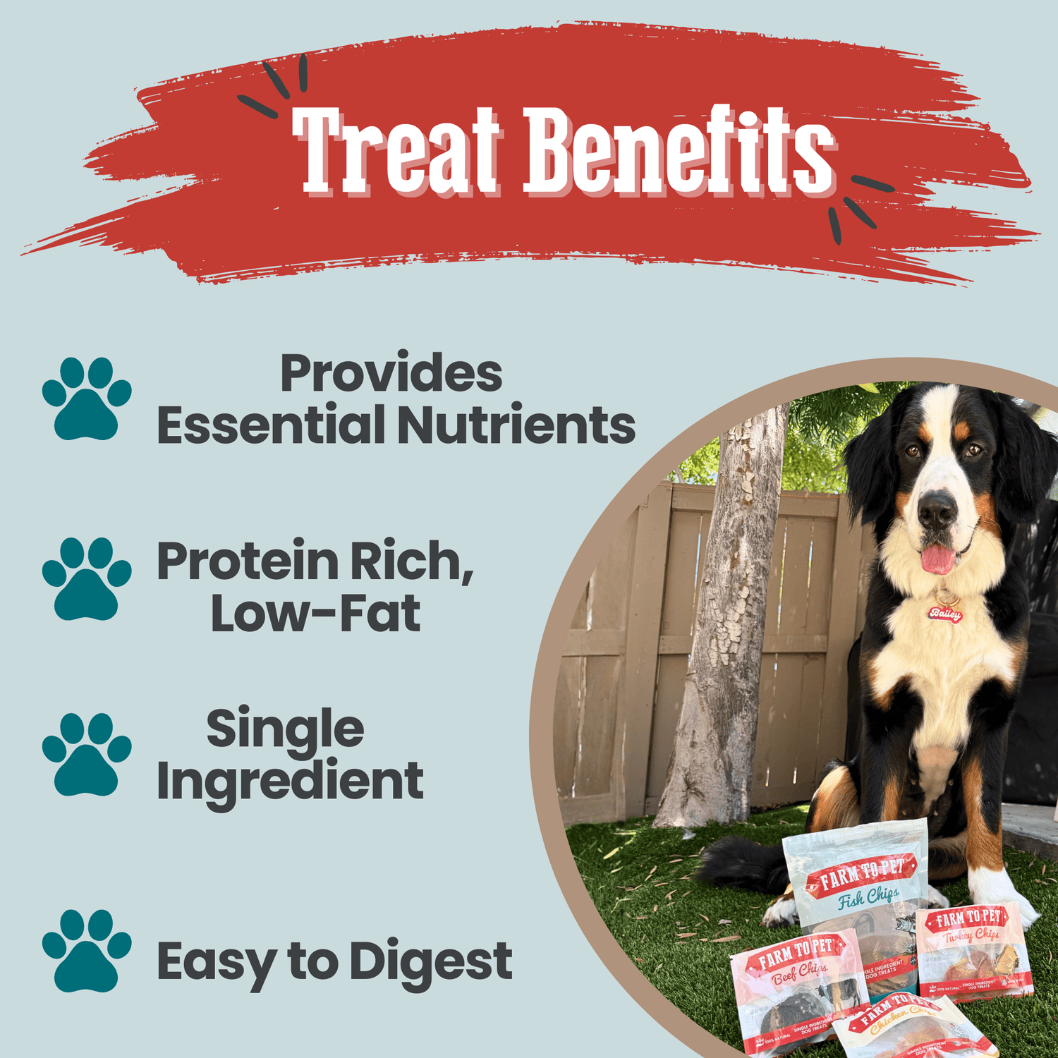Puppy Packs &