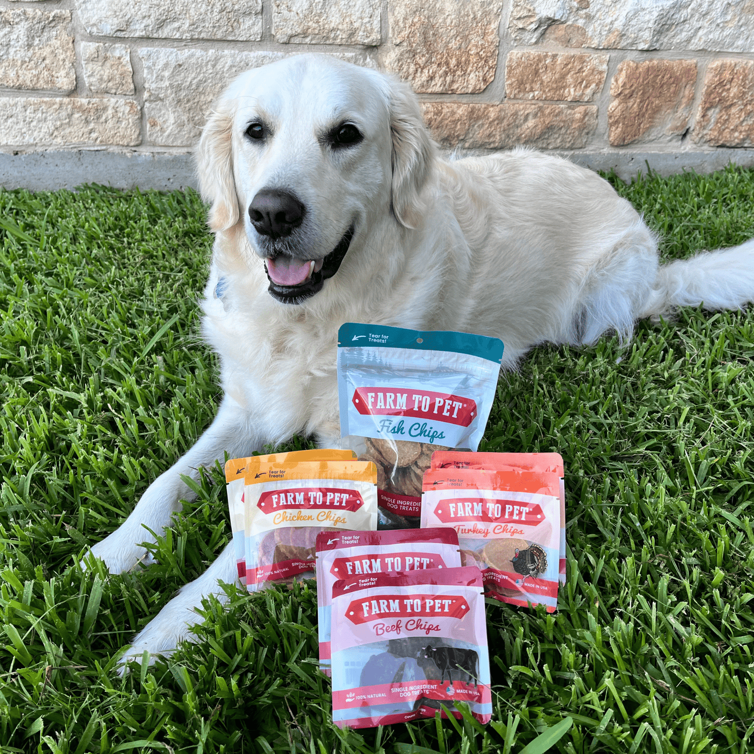 Puppy Packs &