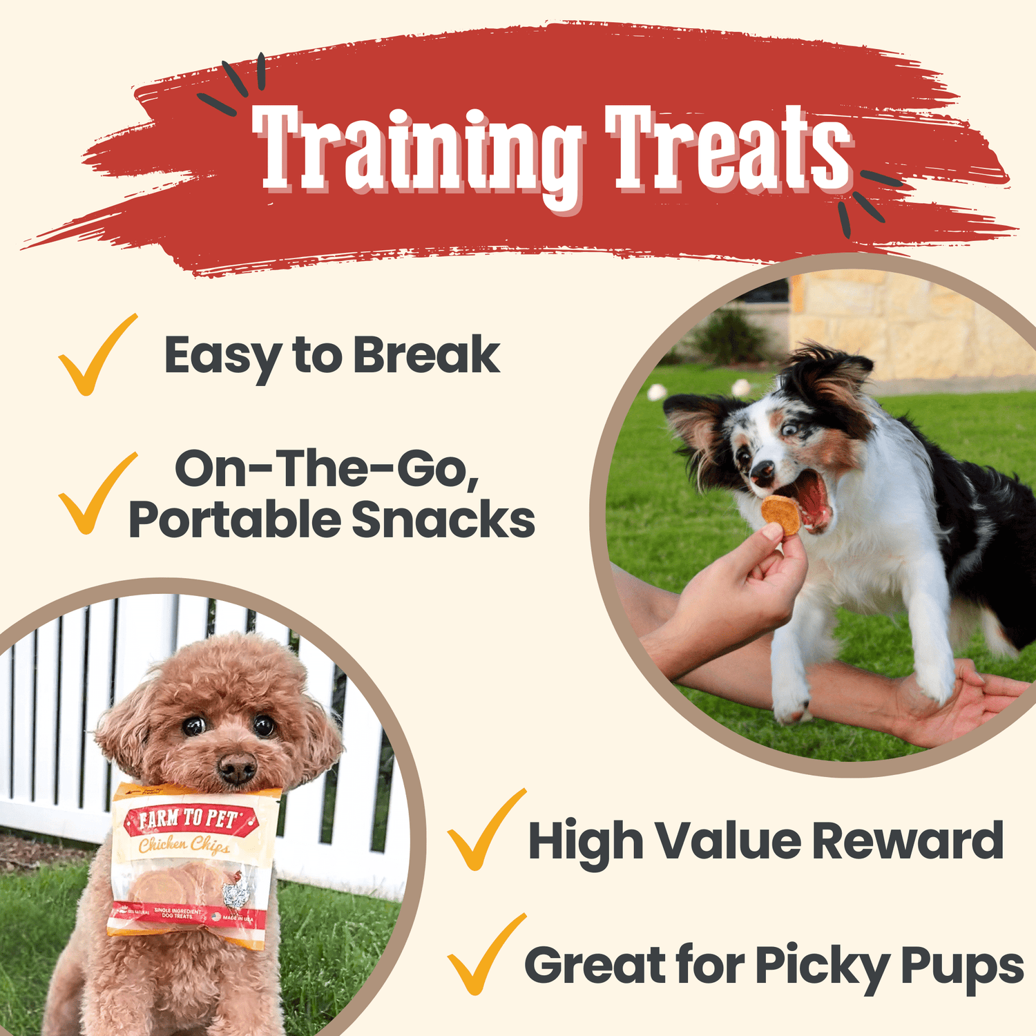 Chicken Chips Snack Pack Bundles | Dog Party Favors &amp; Training Treats