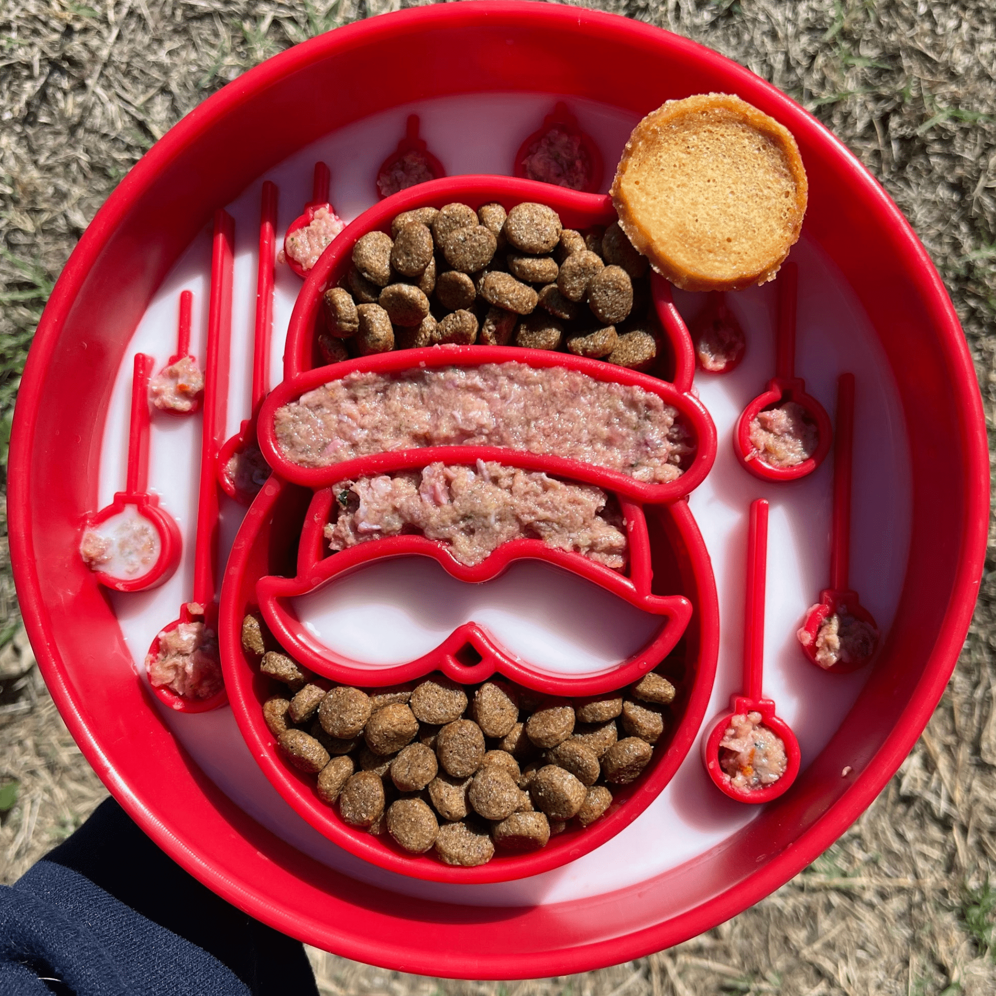 Slow Feeder Dog Bowls