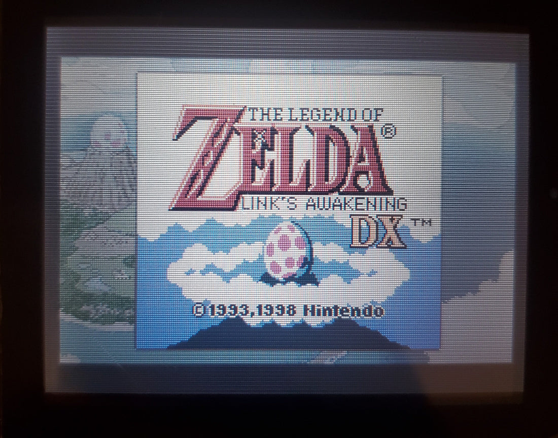 Legend of Zelda Link&