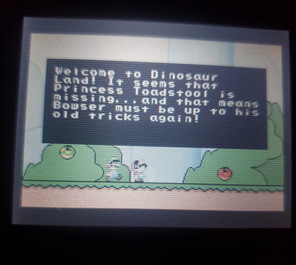 Super Mario Advance 2, Super Mario World GBA Video Game Boy Advance