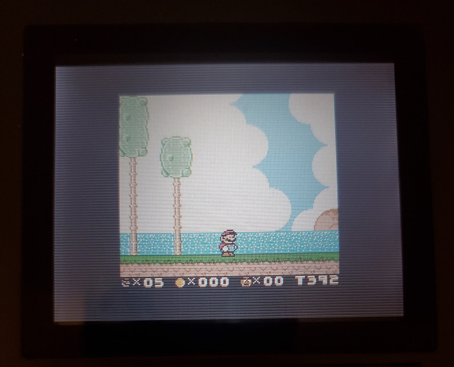 Super Mario Land 6 Golden Coins DX GBA Video Game Boy Advance