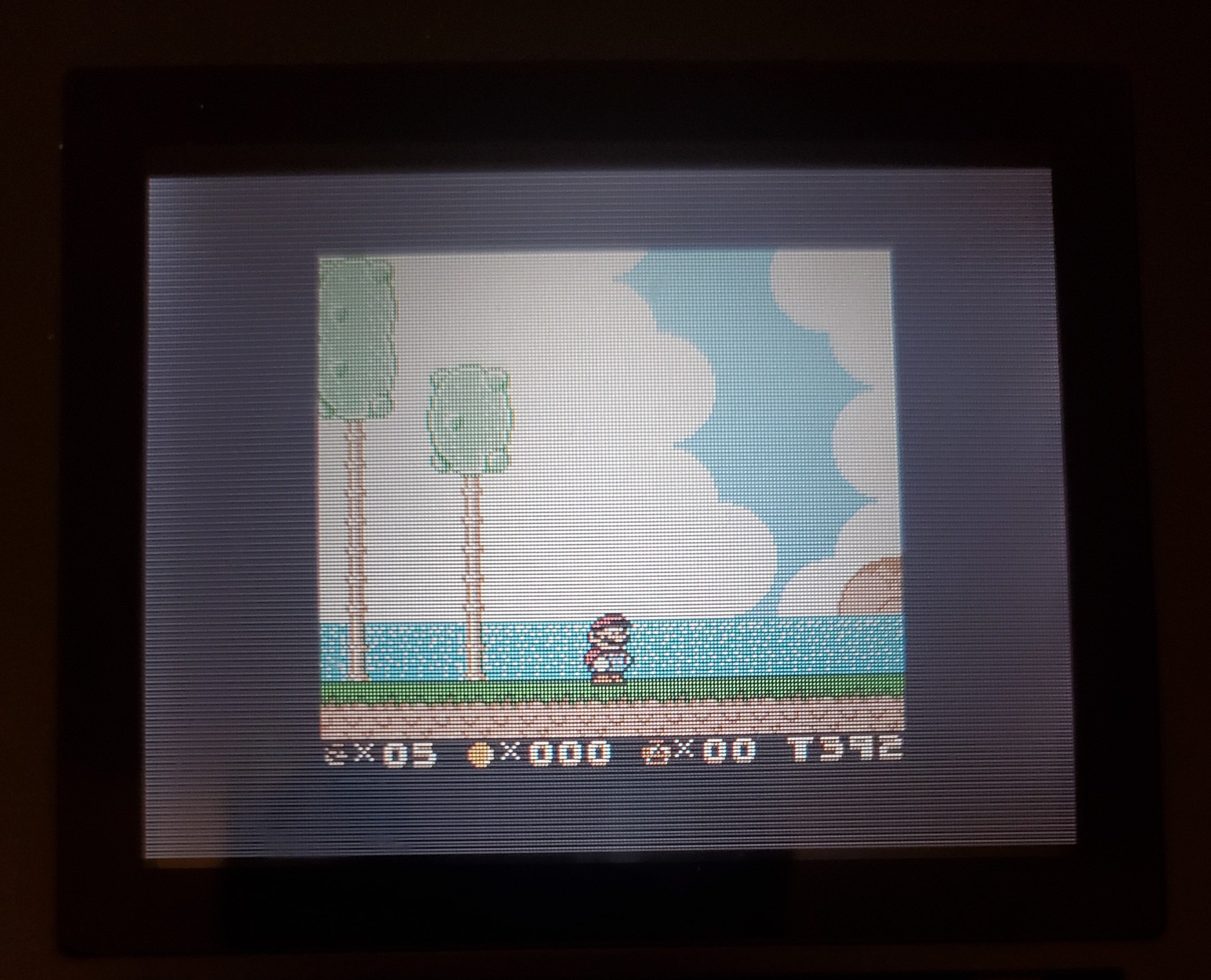 Super Mario Land 6 Golden Coins DX GBA Video Game Boy Advance