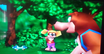Banjo Kazooie N64 Nintendo 64 Video Game Cartridge 1998