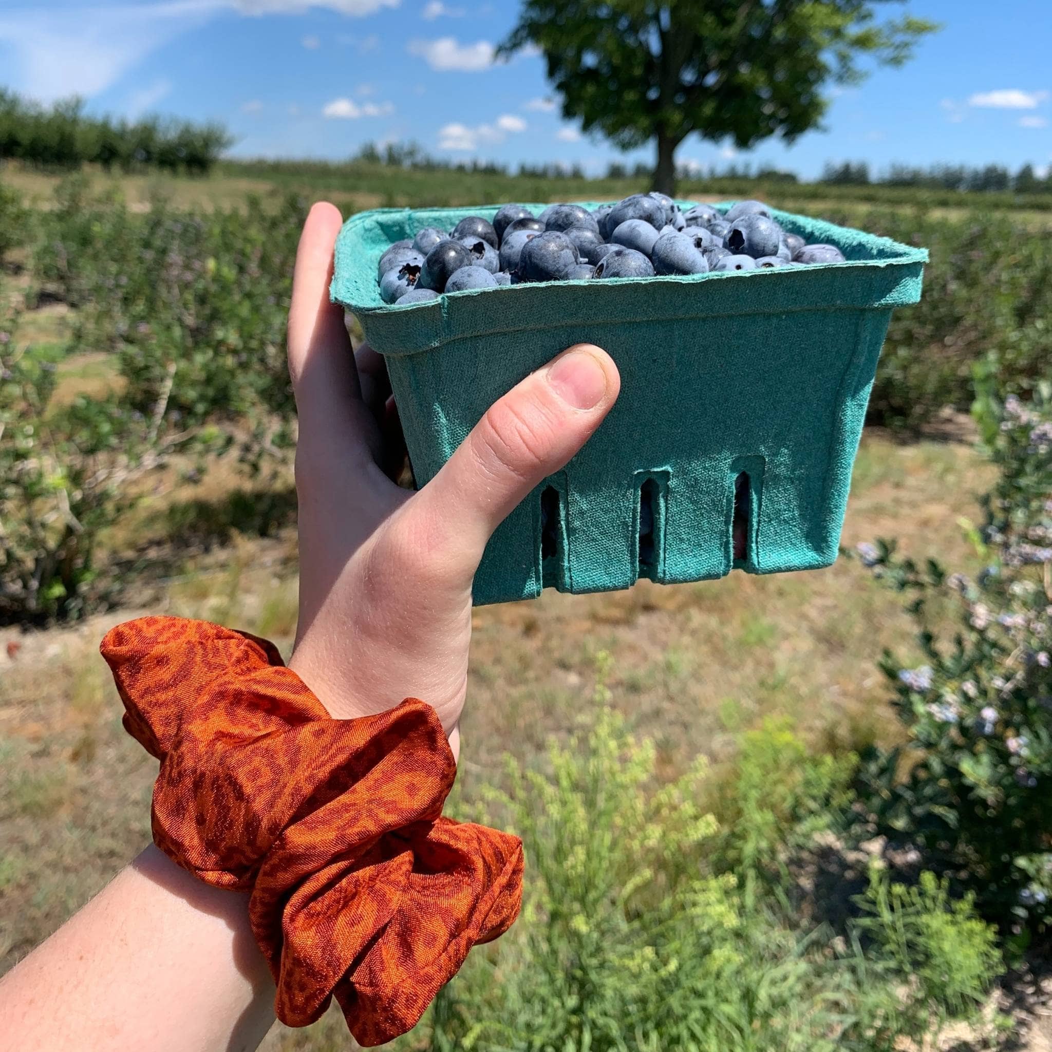 Colorful Reclaimed Sari Scrunchies 5-Pack